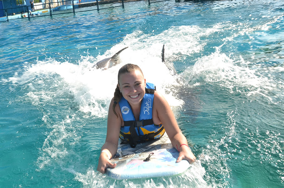 Dolphins jumping at Aquaventuras Park